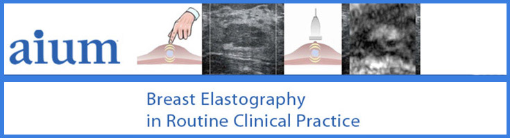 Web site - breast elastograhy in routine clinical practice